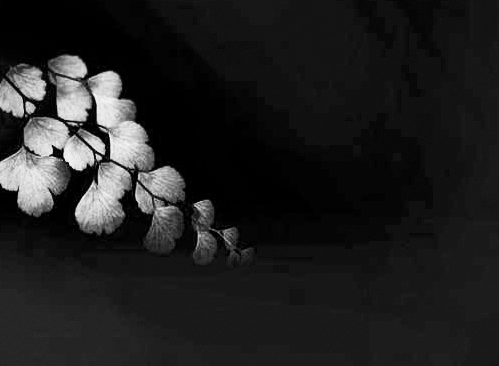 監(jiān)控?cái)z像頭畫面 監(jiān)控?cái)z像頭畫面