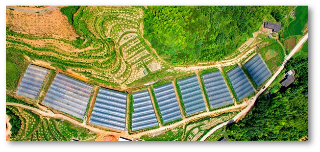 野外監(jiān)控安裝 無線監(jiān)控系統(tǒng) 無線監(jiān)控安裝 野外監(jiān)控安裝 無線監(jiān)控系統(tǒng) 無線監(jiān)控安裝